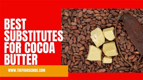 Best Substitutes for Cocoa Butter - The Food Scribe