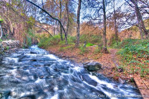 "Elven forest" | Lefteris Katsouromallis | Flickr