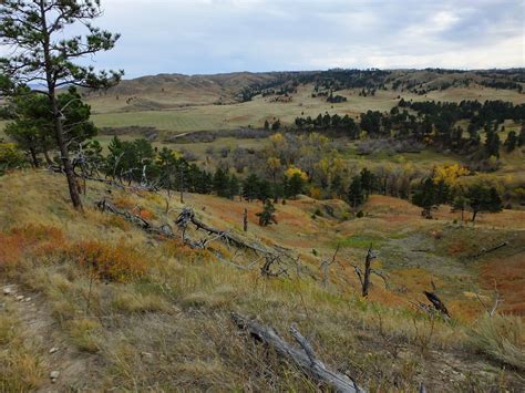 Nebraska National Forests and Grasslands - Soldier Creek Wilderness