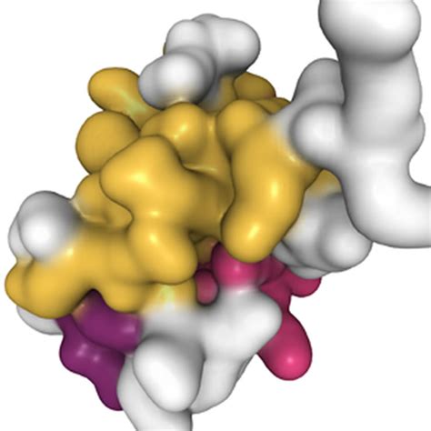 Ohtake Laboratory | Laboratory of protein degradation, Institute for Advanced Life Sciences ...