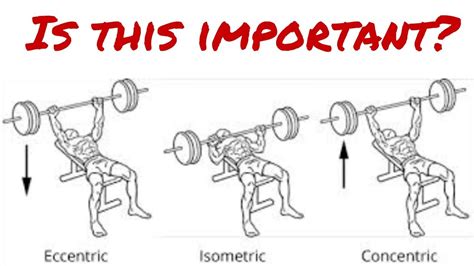 How to use Eccentric, Concentric, Isometric Exercise - What that means ...