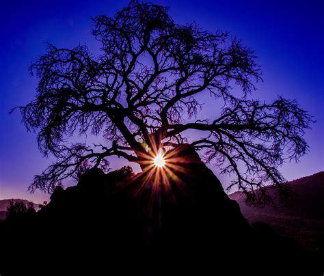 Joshua Tree National Park Sunrise on Behance