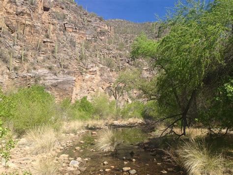 Sabino Canyon Hiking Trail - Tucson Arizona Hike - Go Hike It