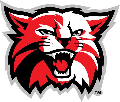 Kenton City Schools - Kenton Wildcats Logo Clipart - Full Size Clipart (#5509264) - PinClipart