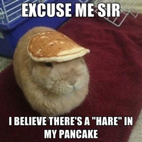 Funny Pancake Quotes. QuotesGram