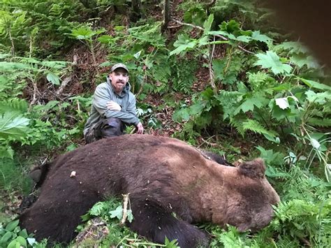 Grizzly Bear Hunting - Alaska