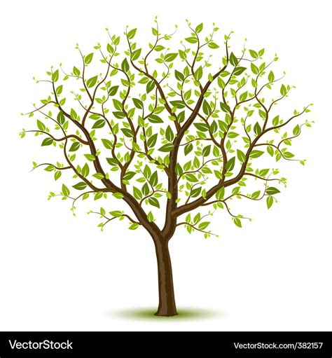 Spring Tree Clipart Images