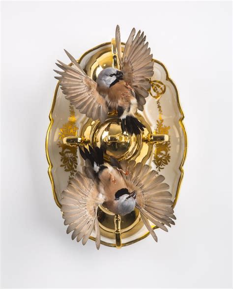 Taxidermy art, Artist inspiration, Art