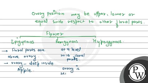 Draw a well labelled diagram showing hypogynous flower, epigynous f ...