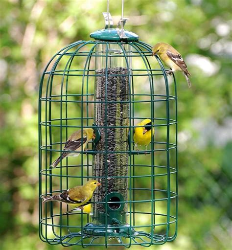 6 BEST Squirrel-Proof Bird Feeders [That Work in 2022] - Bird Watching HQ