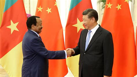China and Cameroon agree to maintain mutual support - CGTN