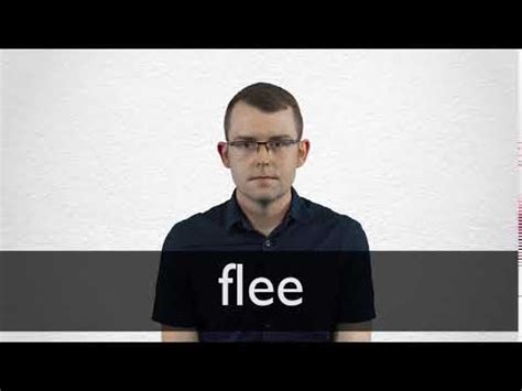 FLEE definition in American English | Collins English Dictionary