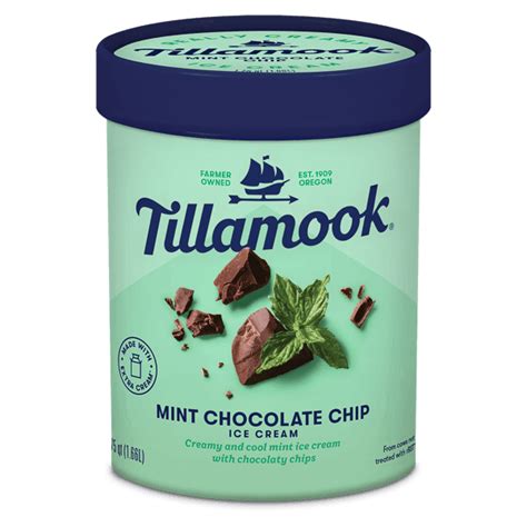 Tillamook Ice Cream Review | SheSpeaks