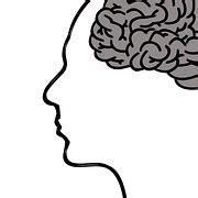 Free illustration: Brain, Human Anatomy, Anatomy - Free Image on Pixabay - 1787622