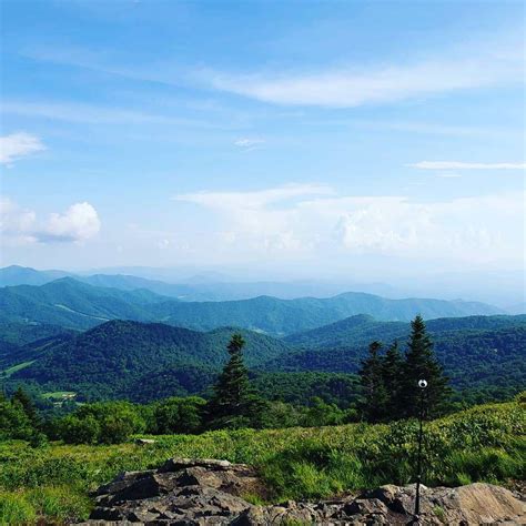 Roan Mountain Camping Tips | Camping spots, Best campgrounds, Mountain ...