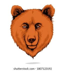 Head Bear Vector Isolated On White Stock Vector (Royalty Free) 1807123192 | Shutterstock