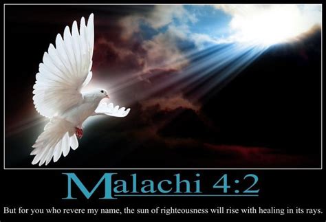 Malachi 4:2 (With images) | Holy spirit, Birds, Beautiful birds