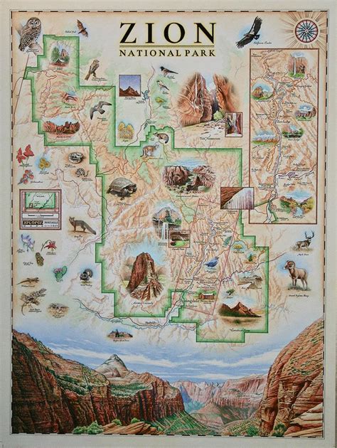 Xplorer Maps Releases Hand-Drawn Zion National Park Map