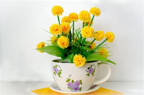 Flowers Free Stock Photo - Public Domain Pictures
