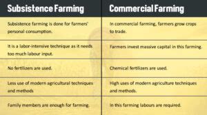 The Advantages And Disadvantages Of Mixed Farming | AftonVilla.com