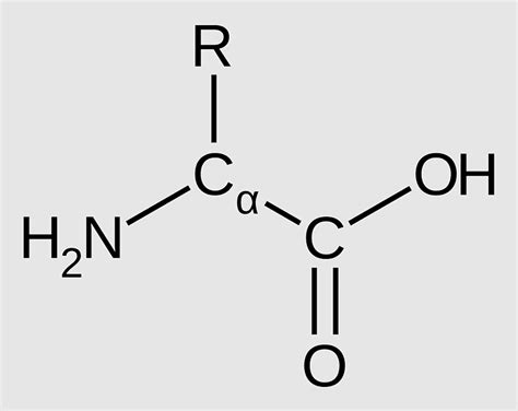 Epsp Synthase, carbamoyl Phosphate, pentose Phosphate Pathway, metabolic Pathway, phosphate ...