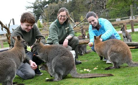 Yorkshire Wildlife Park - Visit Bawtry