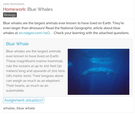 Blue Whales - Website and online quiz for younger learners | #animals #kids #freelessons ...