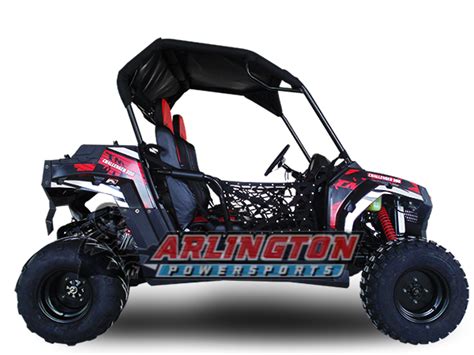 Buy TRAILMASTER CHALLENGER 300 UTV For Sale