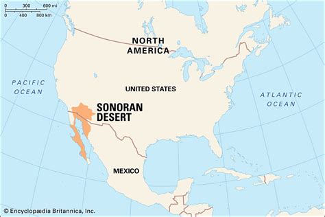 Sonoran Desert On World Map