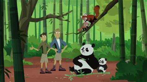 Wild Kratts: Panda-Monium | Tiff & Steph Reviews
