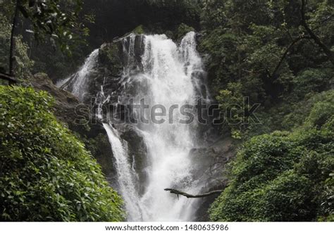 Vibhuti Falls Located Shimoga Karnataka Stock Photo 1480635986 ...