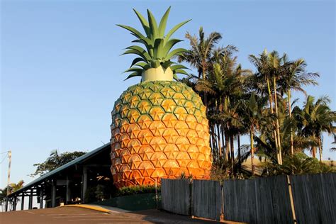 Big Pineapple owners plan revamp of Queensland's iconic tourist attraction - ABC News