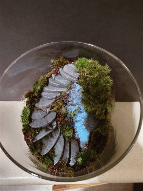 Moss Terrarium - Etsy