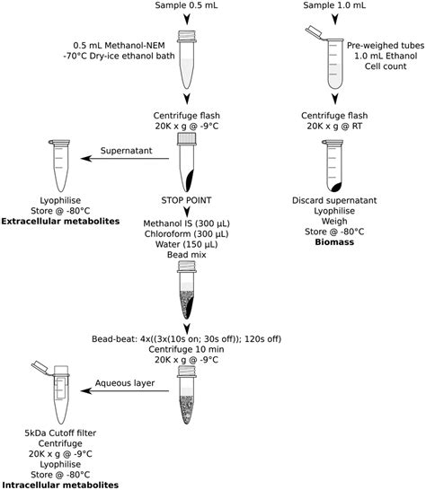 Extraction protocol flow diagram. | Download Scientific Diagram