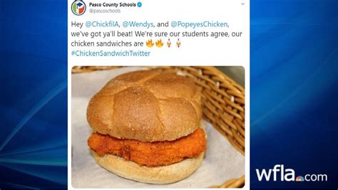 Pasco County Schools enters viral chicken sandwich war with cafeteria sandwich | WFLA