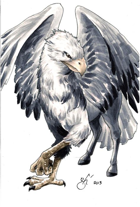 Hippogriff DSC | Harry potter creatures, Harry potter drawings, Harry ...