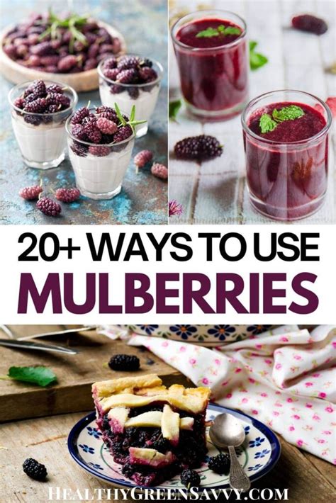 15 Delicious Mulberry Recipes & Uses for Mulberries