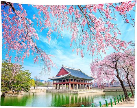 Seoul South Korea Nature Wallpaper