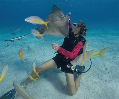 Scuba diving in the Cayman Islands is a beautiful underwater experience.