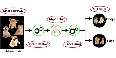 10 Top Machine Learning Examples & Applications in Real Life