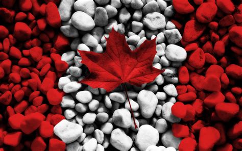 Canada-Flag-HD-Wallpapers-for-Mobile (1) - apisbd