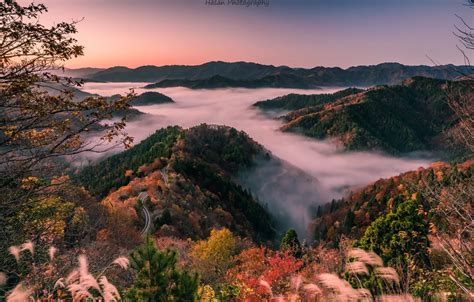 Wallpaper Japan, morning mist, Shiga Prefecture, wooded hills images ...