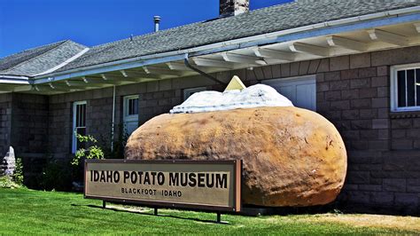 Idaho potato | Colorado Peak Politics