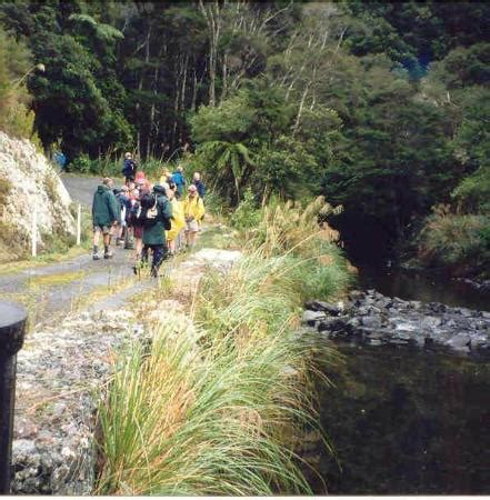 Wainuiomata Recreation Area - 2021 All You Need to Know Before You Go (with Photos ...