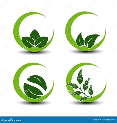 Natural Symbols with Leaf - Circular Nature Icon Stock Vector - Illustration of circle, label ...