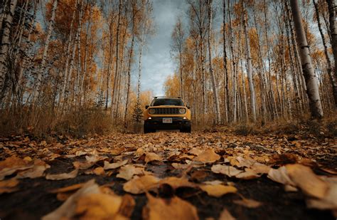 Autumn in Alaska on Behance