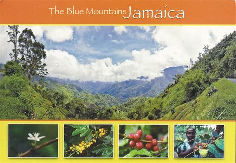 A Journey of Postcards: The Blue Mountains | Jamaica