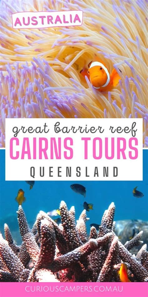 Cairns Snorkelling Tours - How to see the Great Barrier Reef