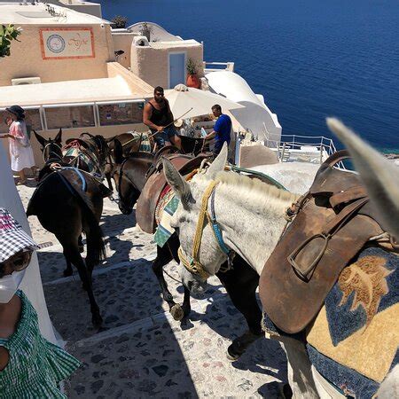 Santorini Volcano - 2020 All You Need to Know Before You Go (with Photos) - Santorini, Greece ...