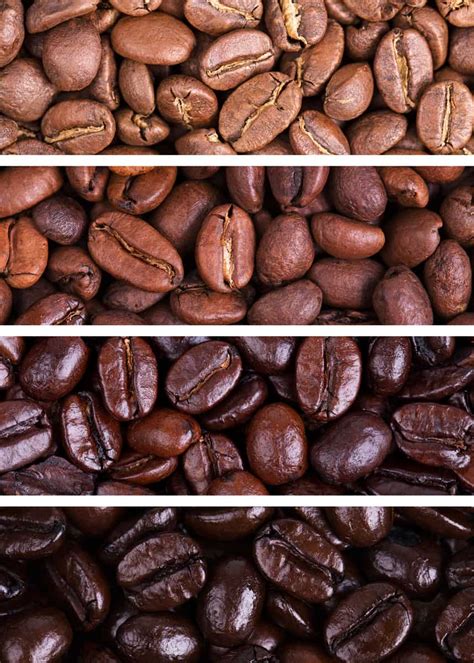 79 Types of Coffee (Definitive Guide) Drinks, Beans, Names, Roasts - EnjoyJava